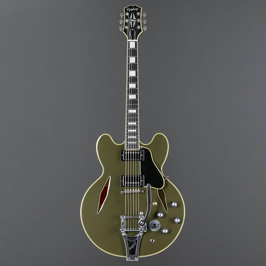 Amazon.com: Epiphone EXCLUSIVE Shinichi Ubukata ES-355, Olive Drab