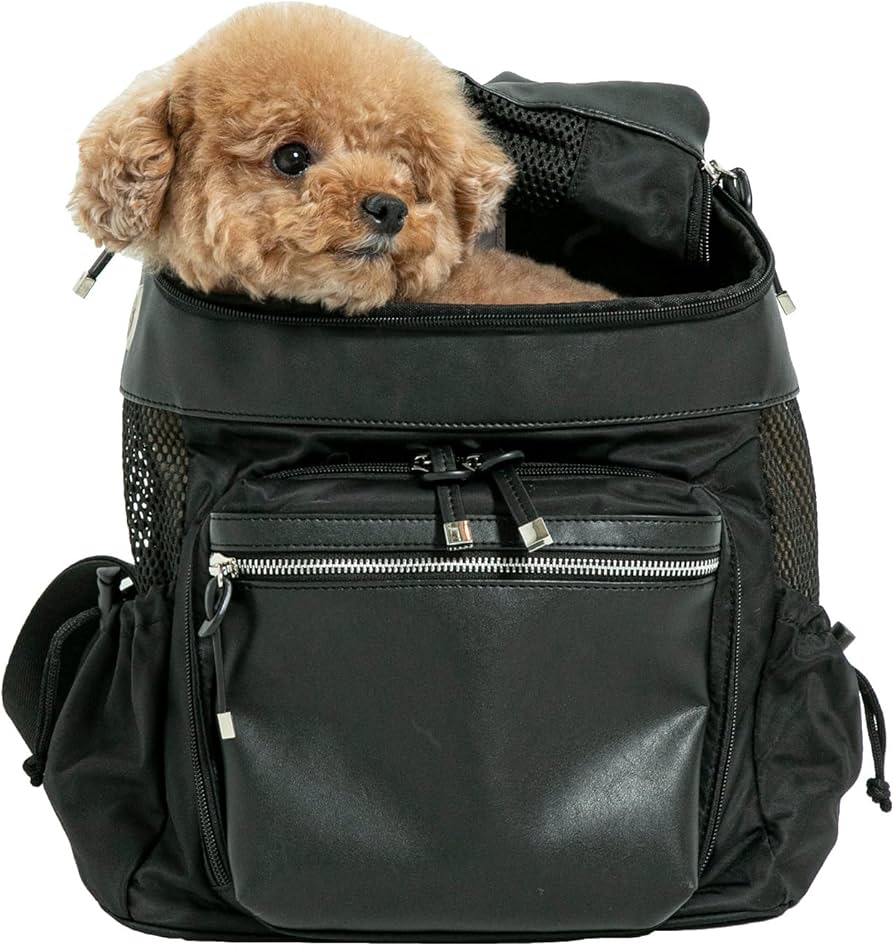 citydog シティドック Lサイズ モカ リュック Amazon.co.jp: [citydog