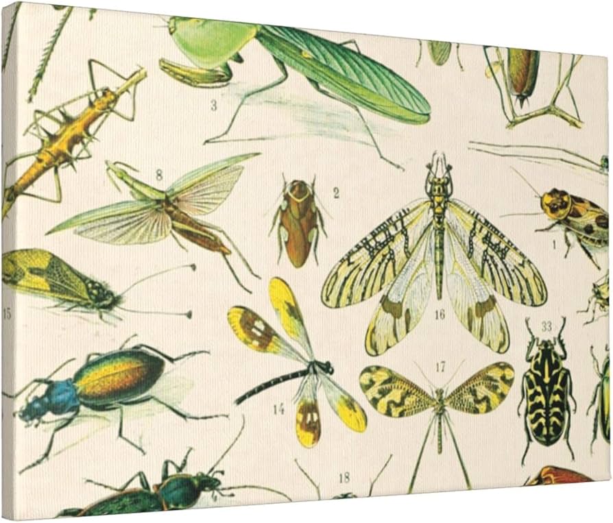 絵絵画かわいい昆虫動物アートインテリア雑貨おしゃれモダンアート