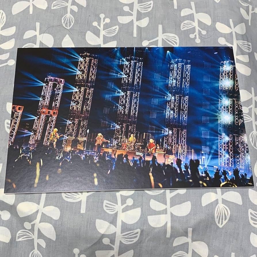 SUPER BEAVER パネル 【公式通販】