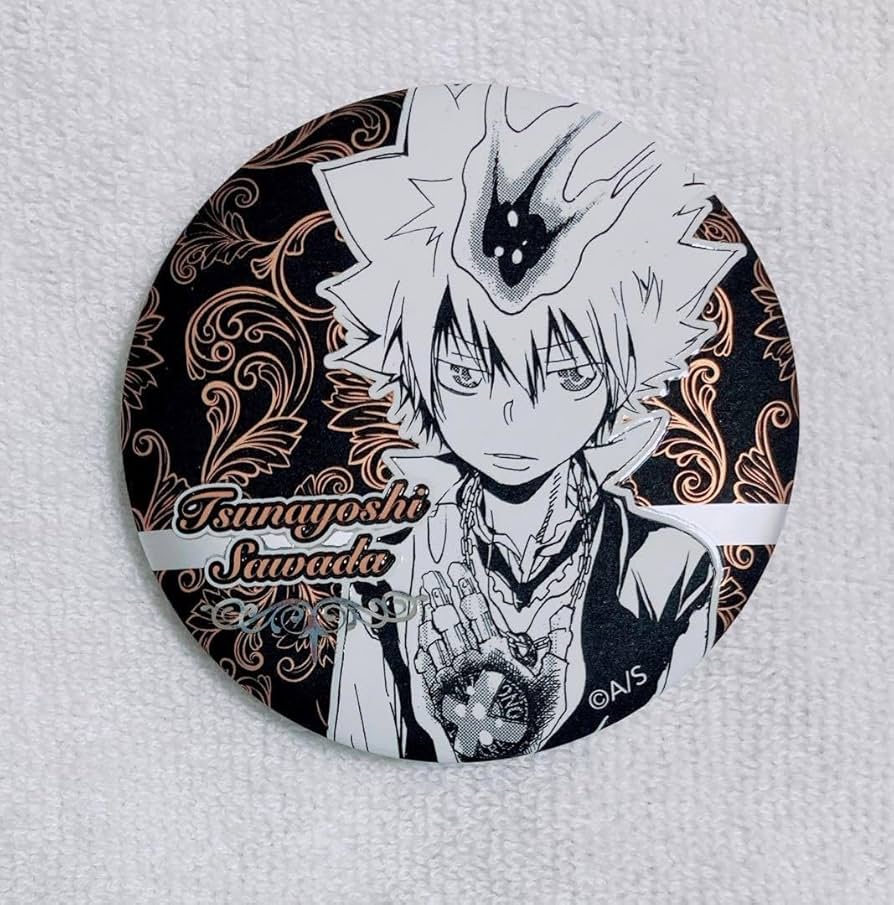 家庭教師ヒットマンREBORN ツナ 沢田綱吉 缶バッジ JF2017 家庭教師