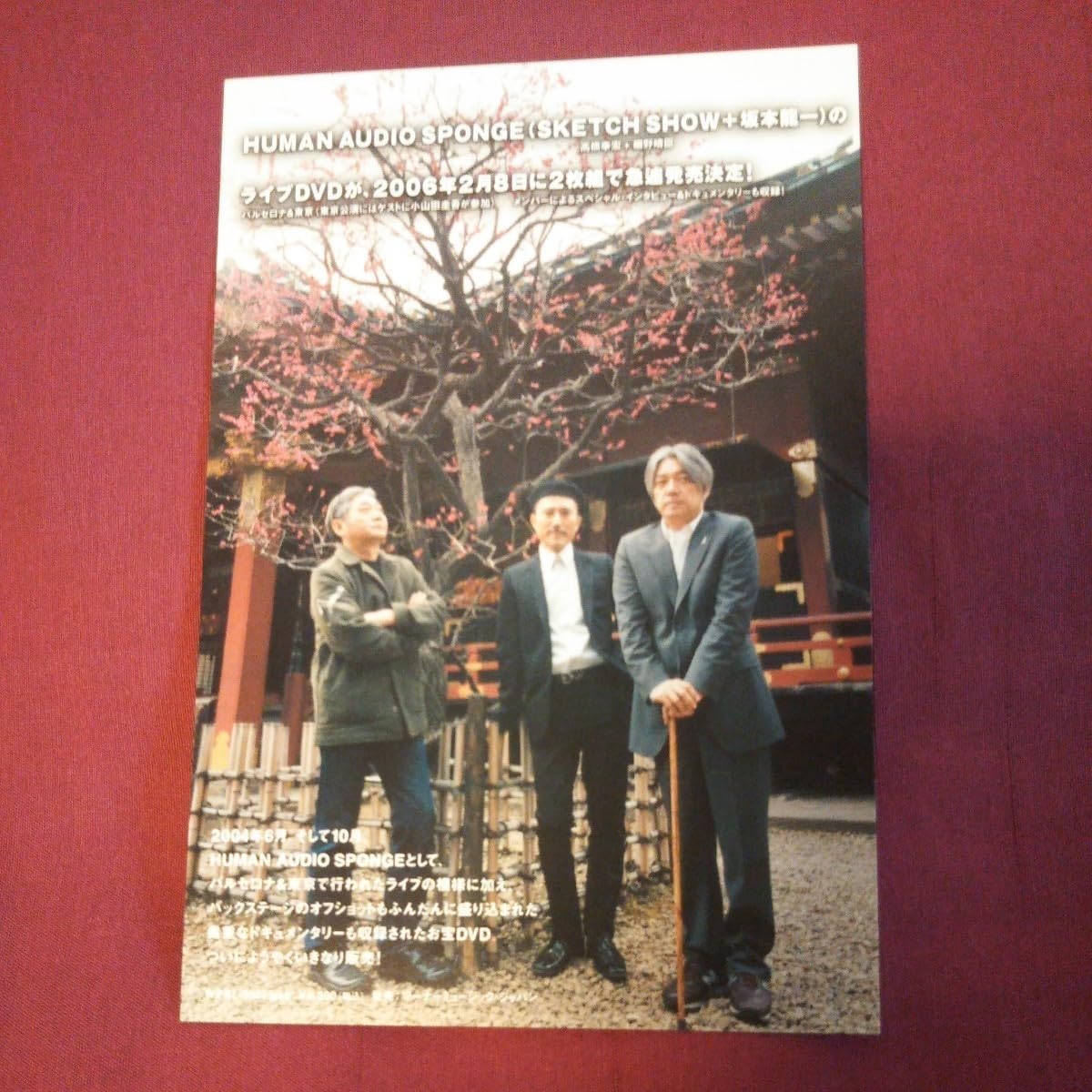 1981.YMOウィンターライヴ フライヤー 細野晴臣 高橋幸宏 坂本龍一