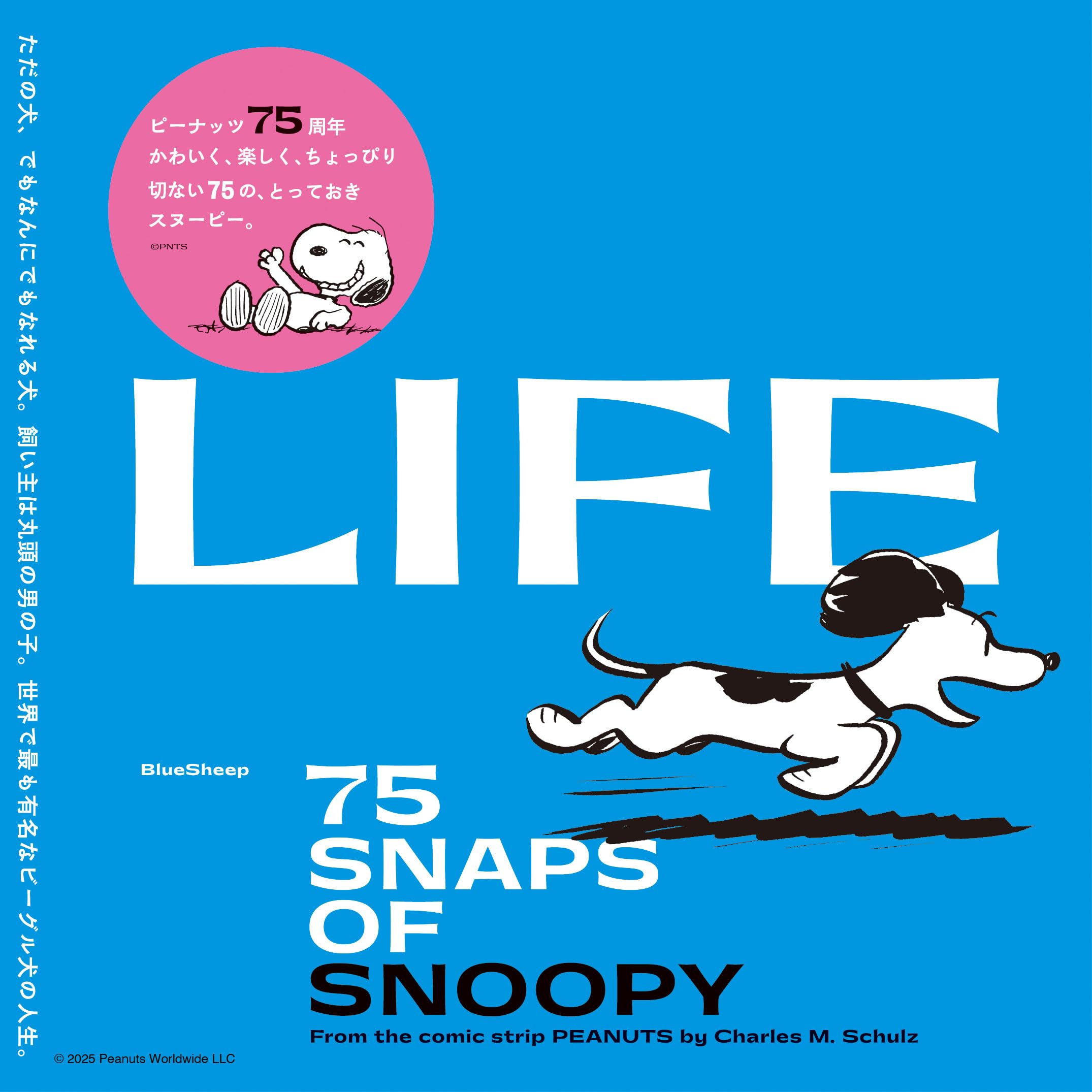 Snoopy（スヌーピー）のフェーヴ／全10個／2003年／ポースレン製 LIFE