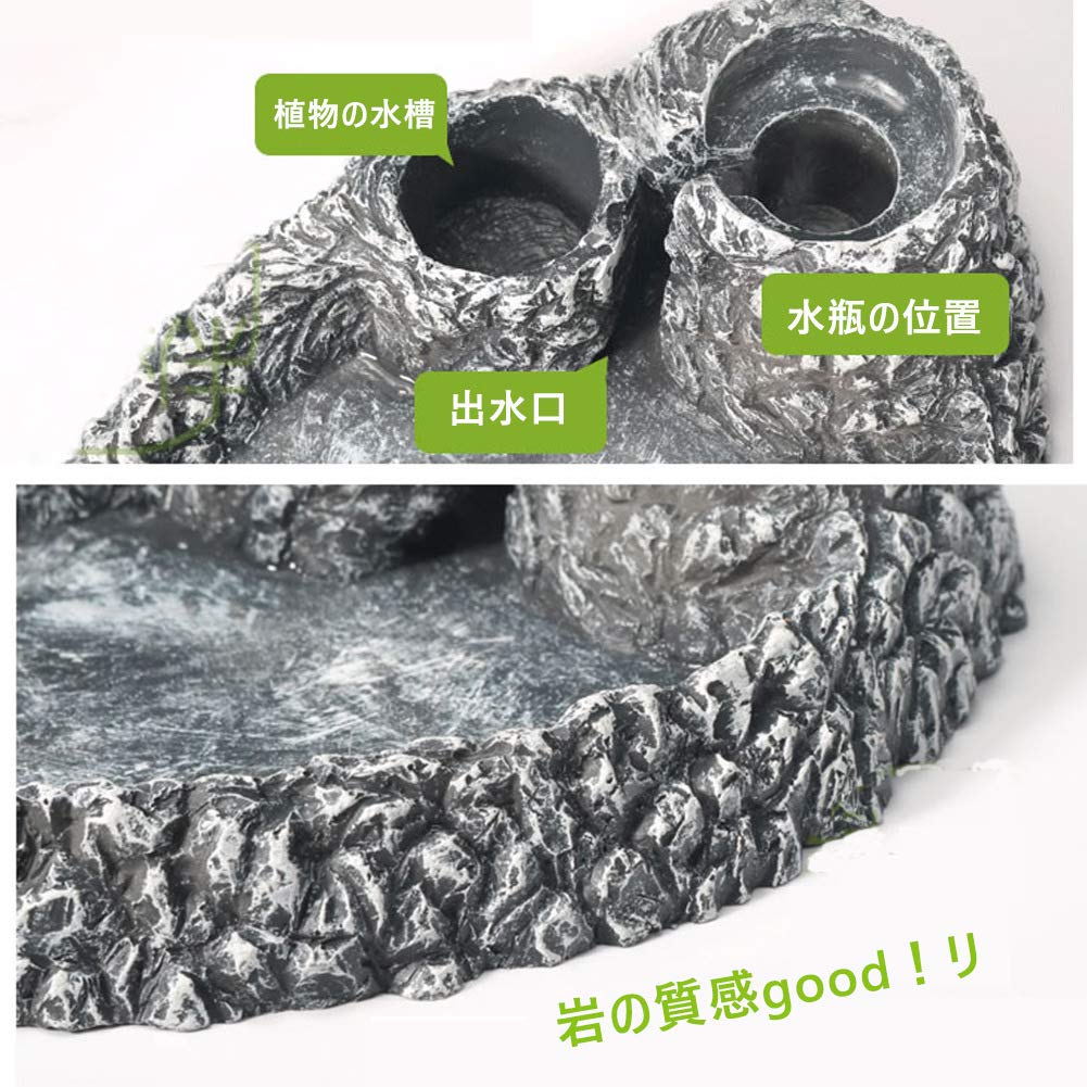 爬虫類 水 エサ入れ 23 【公式通販】