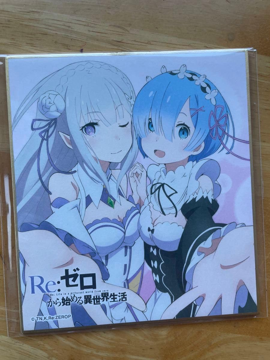 がおう 描き下ろし直筆イラスト色紙 リゼロ レム がおう 描き下ろし