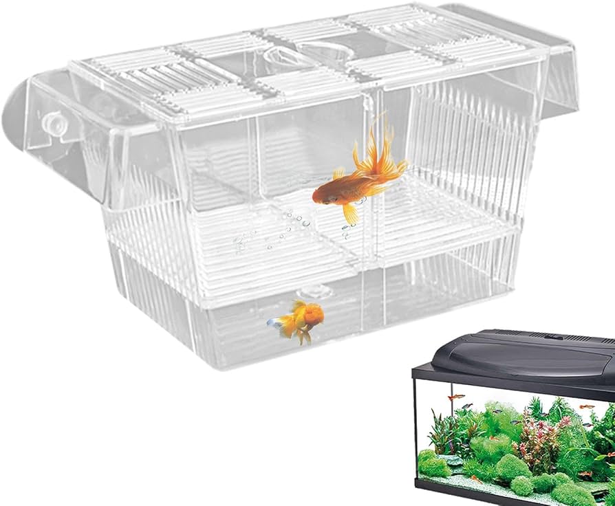 Amazon.co.jp: Luganud水槽用ブリーダーボックス - 産卵飼育ボックス