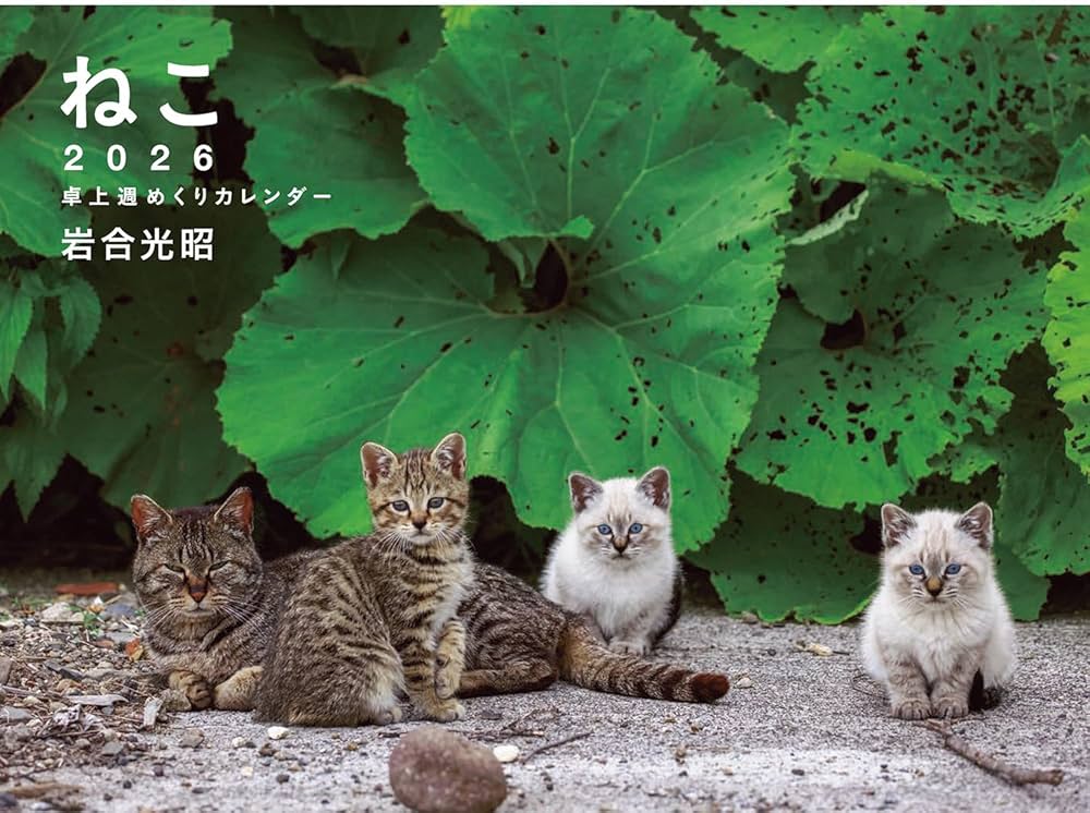 2026 岩合光昭 ねこ 卓上週めくりカレンダー ([カレンダー]) | 岩合