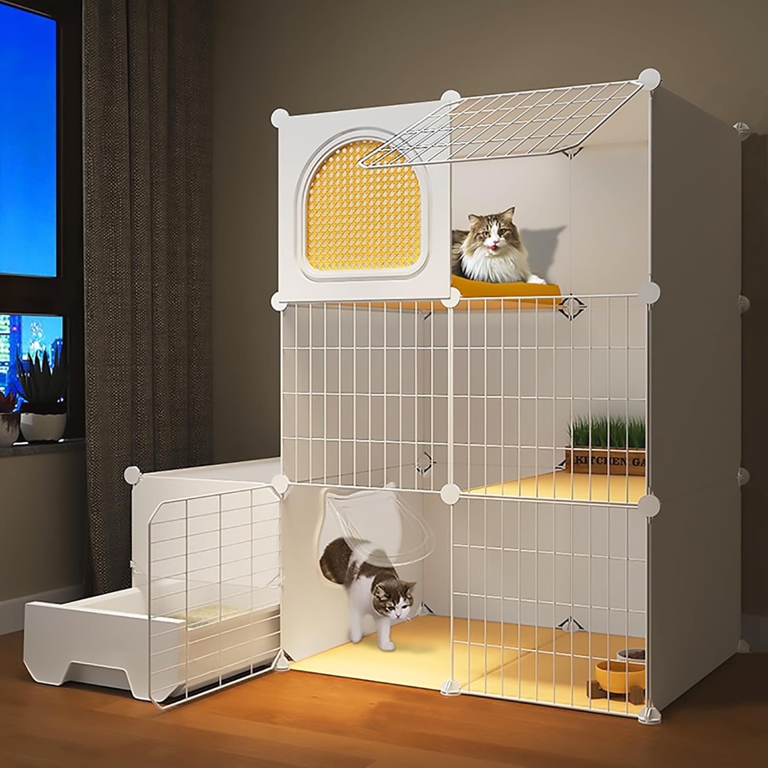 大棗 日の出かすみ 前端峰春 木箱入 茶道具 人気 古物品