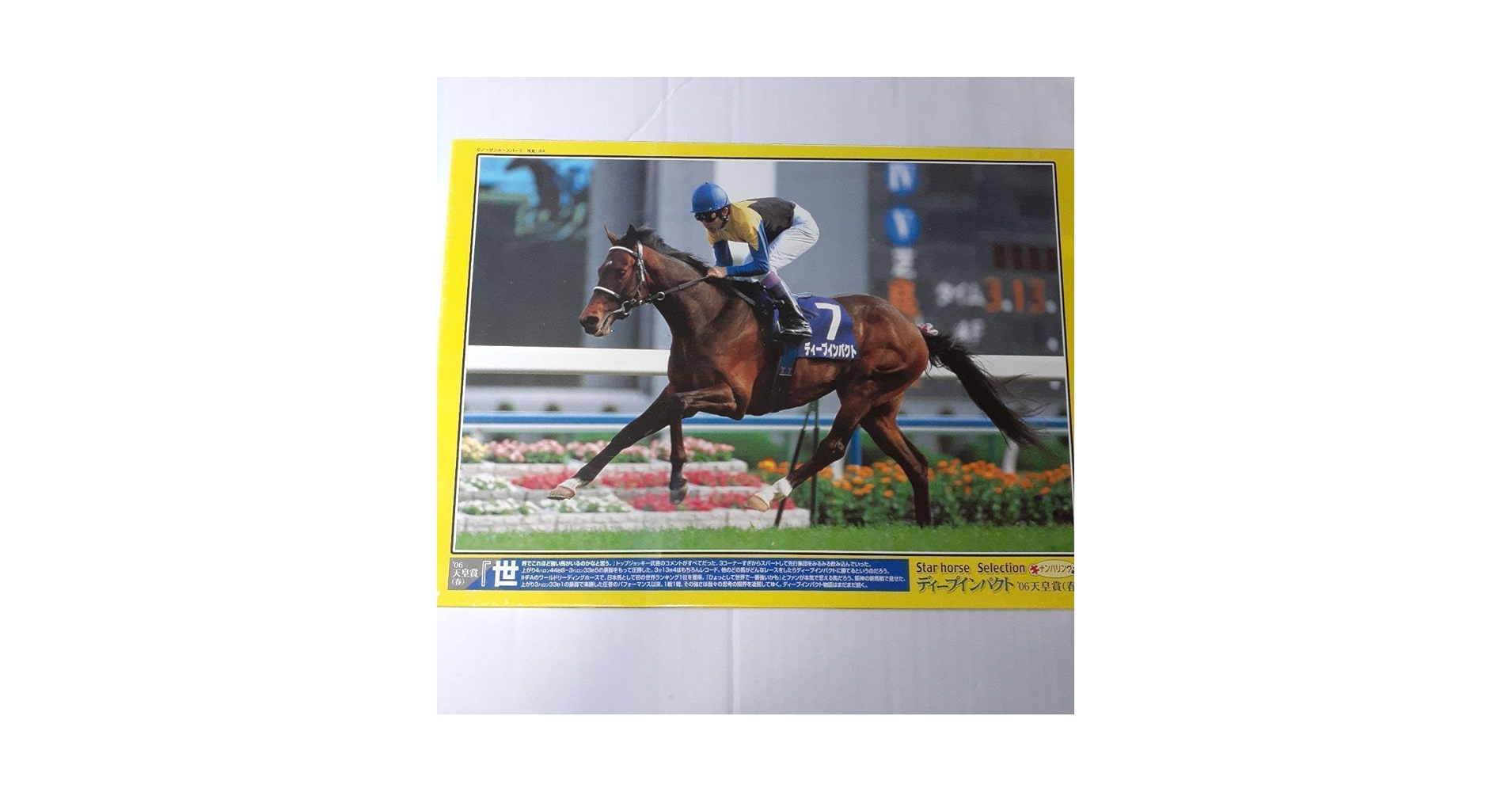 ジグソーパズル ディープインパクト '06有馬記念 ジグソーパズル