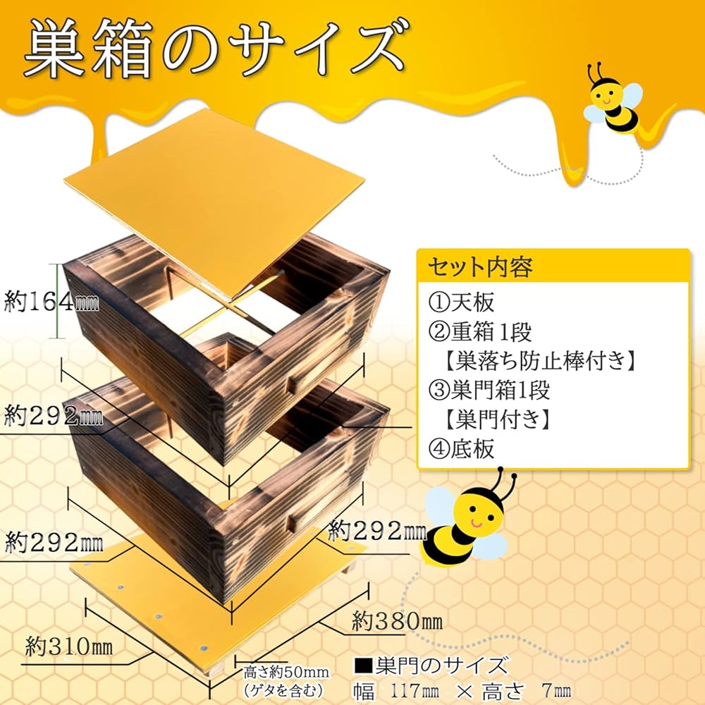 二ホンミツバチ（日本蜜蜂）の分蜂群（重箱式巣箱）