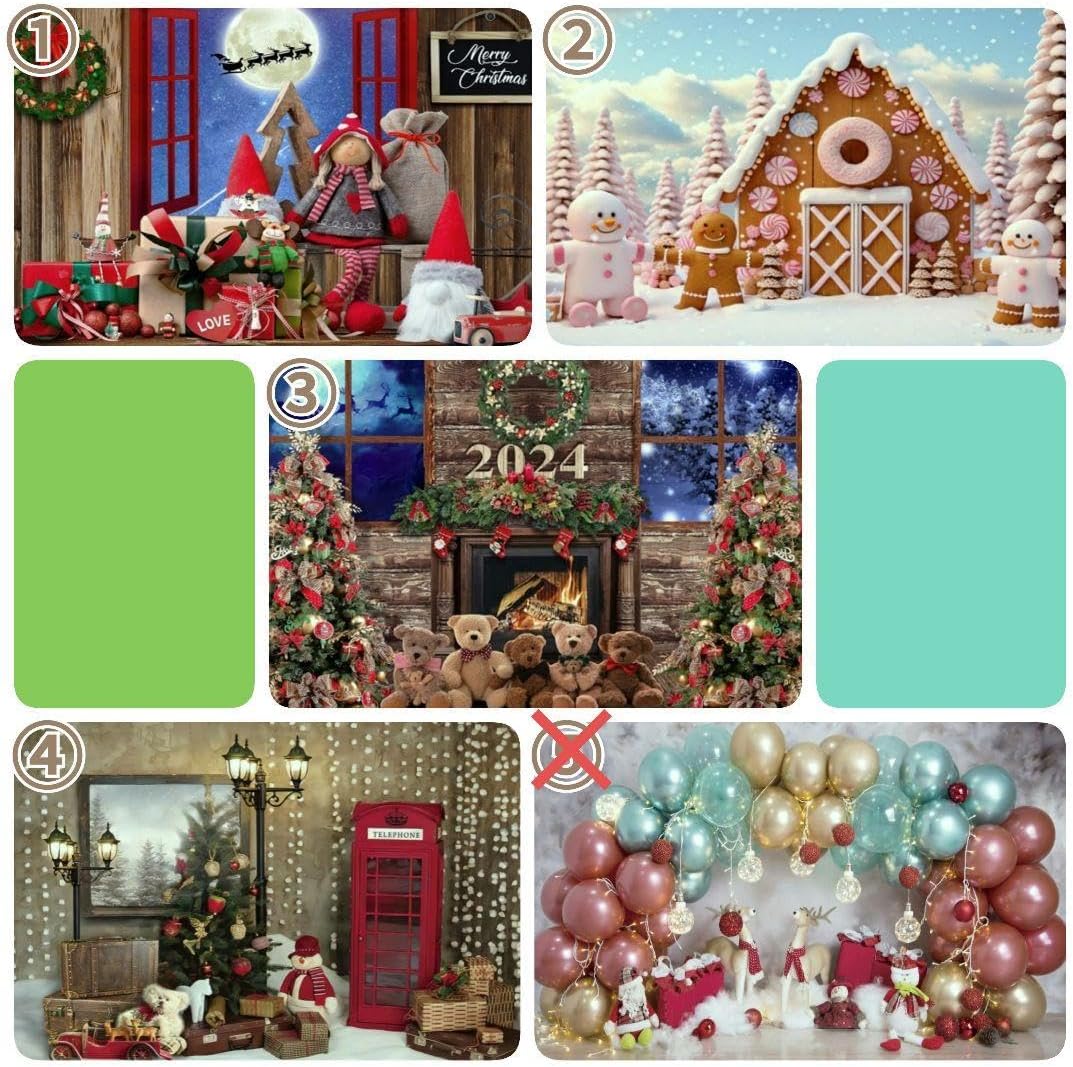 背景布×3枚 ペット撮影用ブース お正月 フェルトトリミングチョーカー