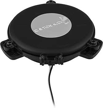 Amazon.com: Dayton Audio TT25-16 Puck Tactile Transducer Mini Bass
