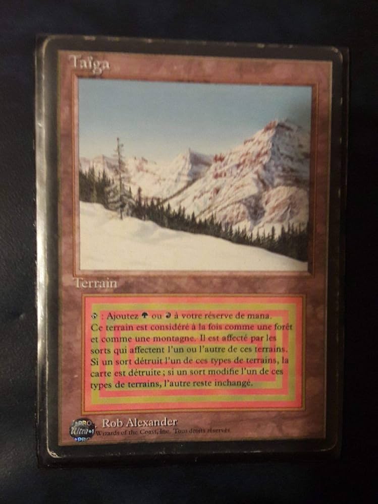 Amazon.co.jp: Magic: the Gathering - Taiga - Revised Edition