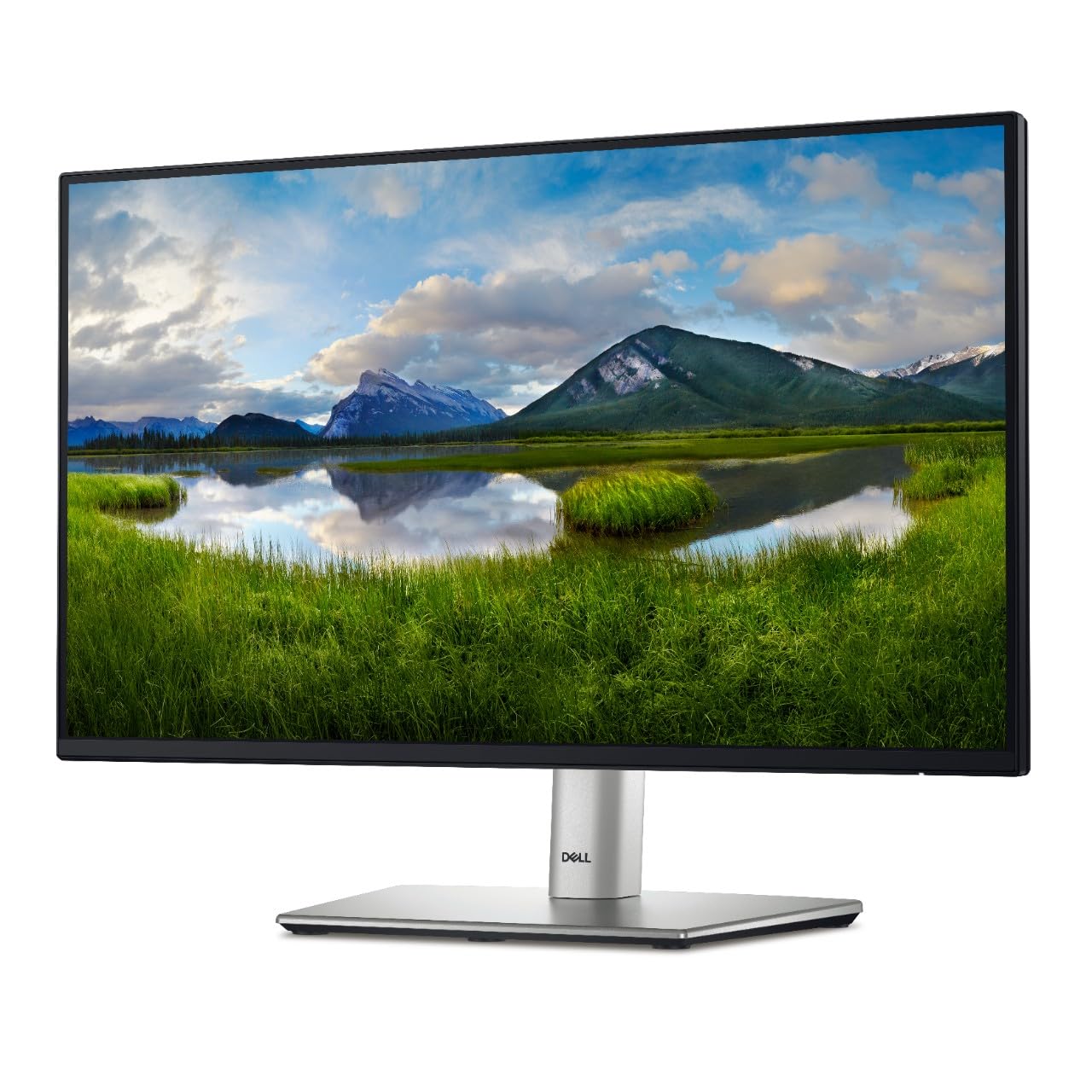 Amazon.com: Dell P2425H 24
