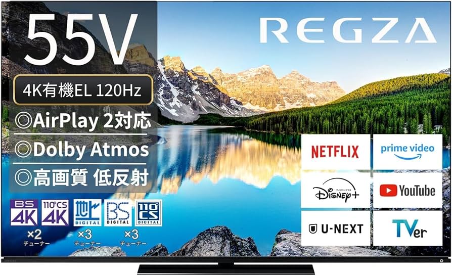 borzoi様専用】【有機ELテレビ】 東芝 REGZA ×920 55インチ 【公式通販】