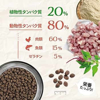 Amazon.co.jp: BELCANDO ベルカンド パピー グレインフリー チキン