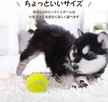 Amazon | pet prime 犬用おもちゃ ミニテニスボール 6個入り 直径5cm
