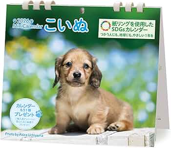 71PsrLZip5L._AC_UF350,