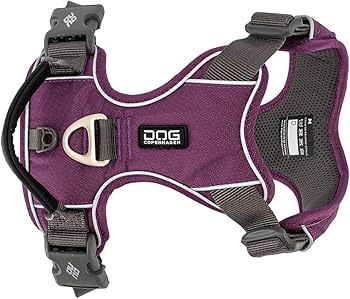 Amazon | [ ドッグコペンハーゲン ] DOG Copenhagen コンフォート