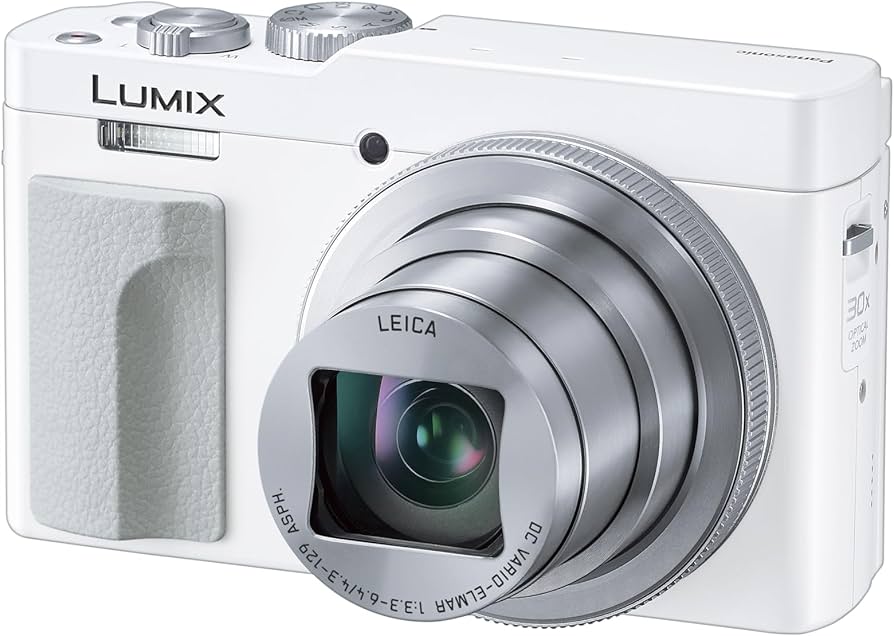 Amazon.com : Panasonic LUMIX TZ/ZS99 Point and Shoot Camera