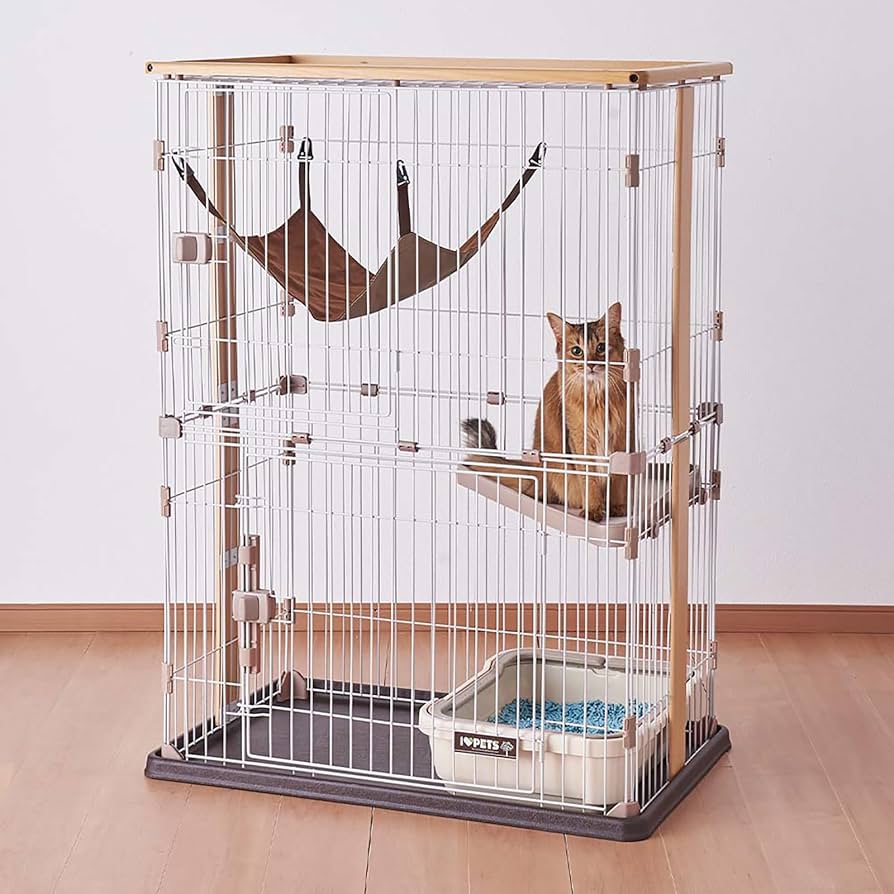 Amazon | ボンビアルコン (Bonbi) ウッドワンサークルキャット