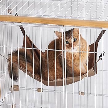 Amazon | ボンビアルコン (Bonbi) ウッドワンサークルキャット