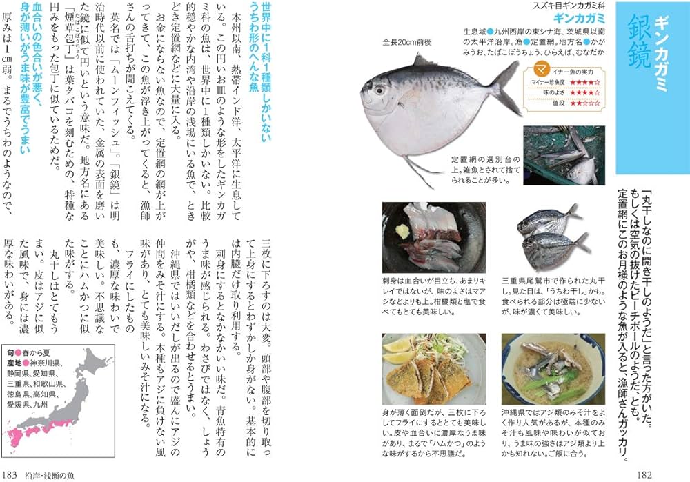 マイナビ文庫】美味しいマイナー魚図鑑ミニ | ぼうずコンニャク 藤原昌