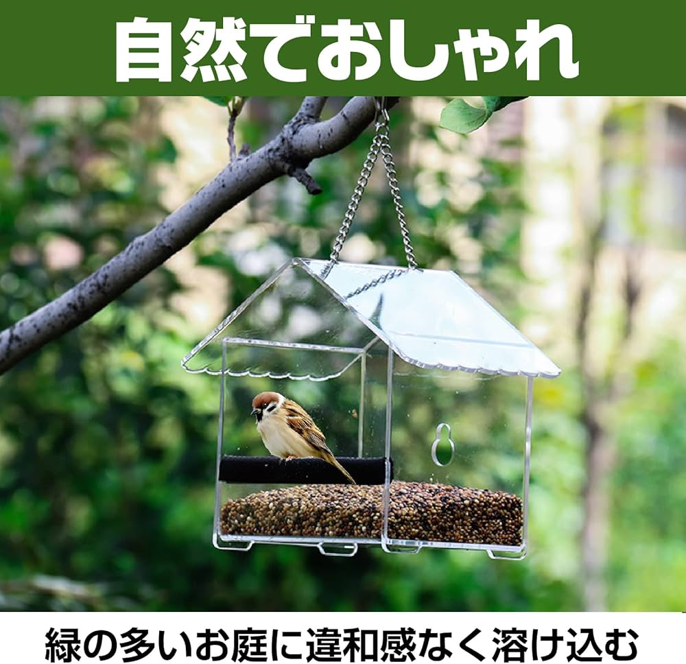 Amazon.co.jp: sac taske バードフィーダー 透明 野鳥 餌台 鳥 えさ