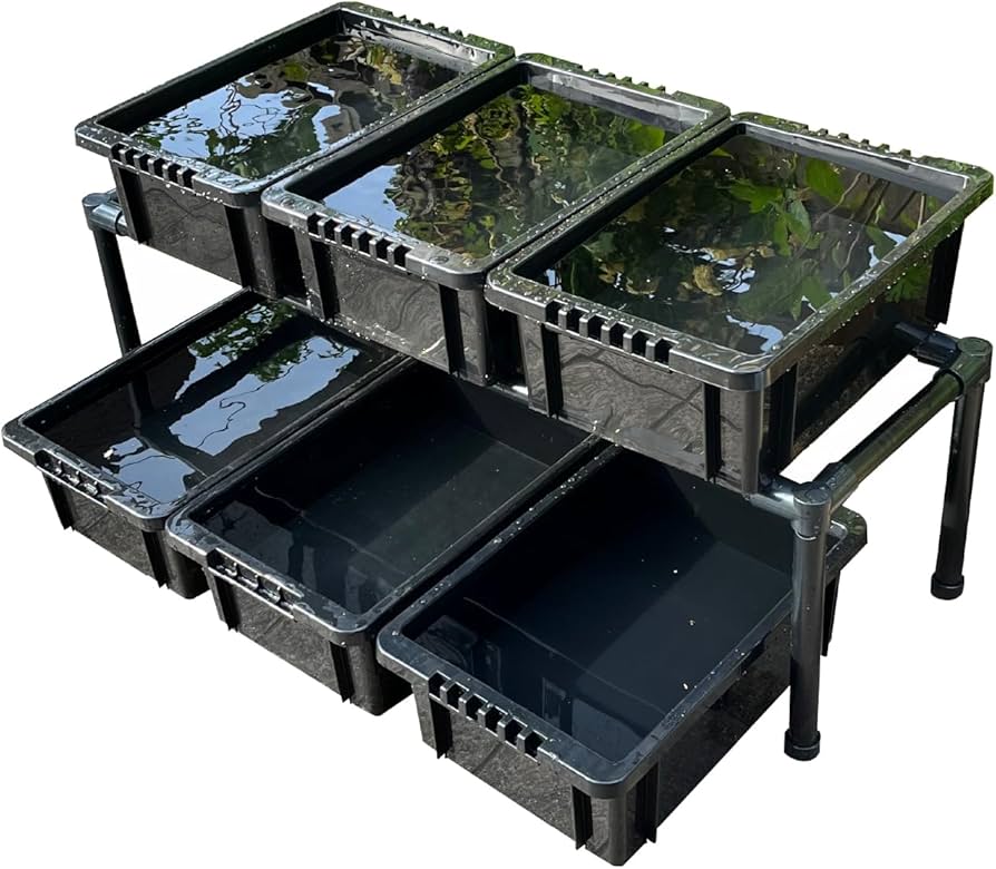 ☆メダカ飼育ラック白2段12個置き☆ めだか飼育ケース産卵撮影