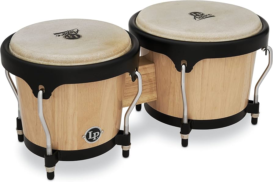 LP Aspire ボンゴ Amazon | LP エルピー ボンゴ Aspire Wood Bongos