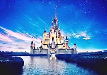 71S8WWHnk2L._AC_UF350,