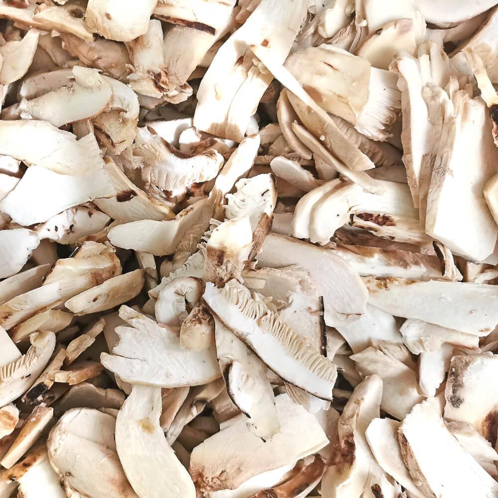 北海道松茸500g 訳あり