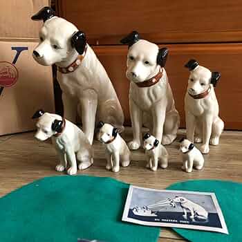 71SQYwZr4YL._AC_UF350,