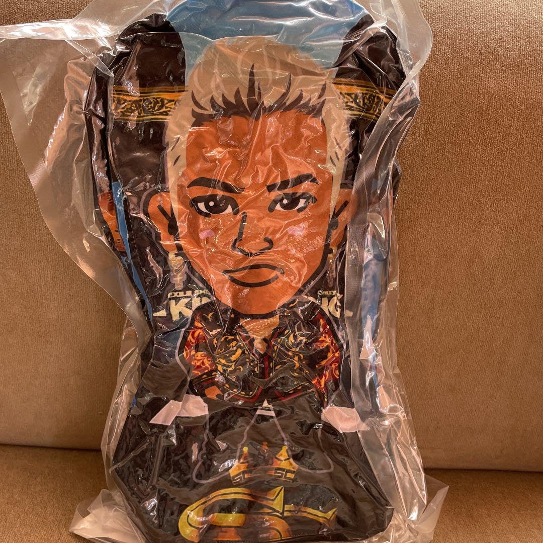 ELLY RAINBOW クッション ELLY RAINBOW クッション ELLY RAINBOW