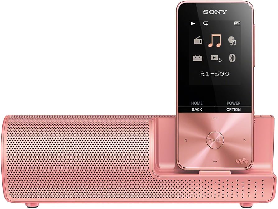 Amazon.co.jp: ソニー ウォークマン Sシリーズ 16GB NW-S315K : MP3