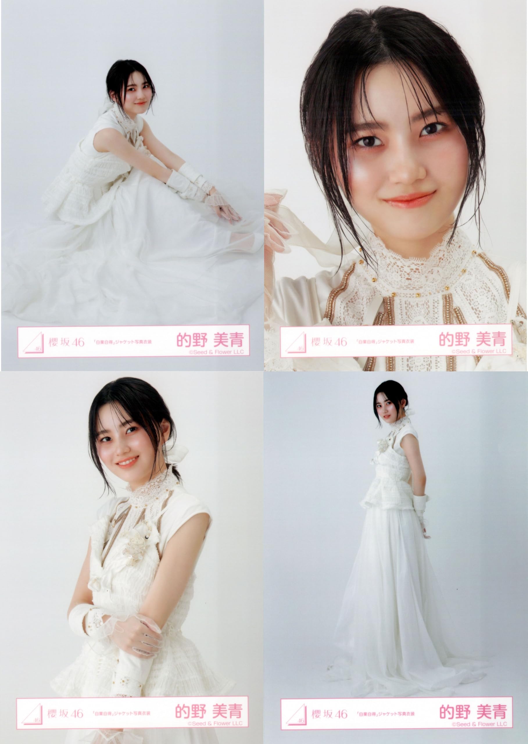 的野美青 櫻坂46 Addiction アルバム 封入 生写真 4種 コンプ 櫻