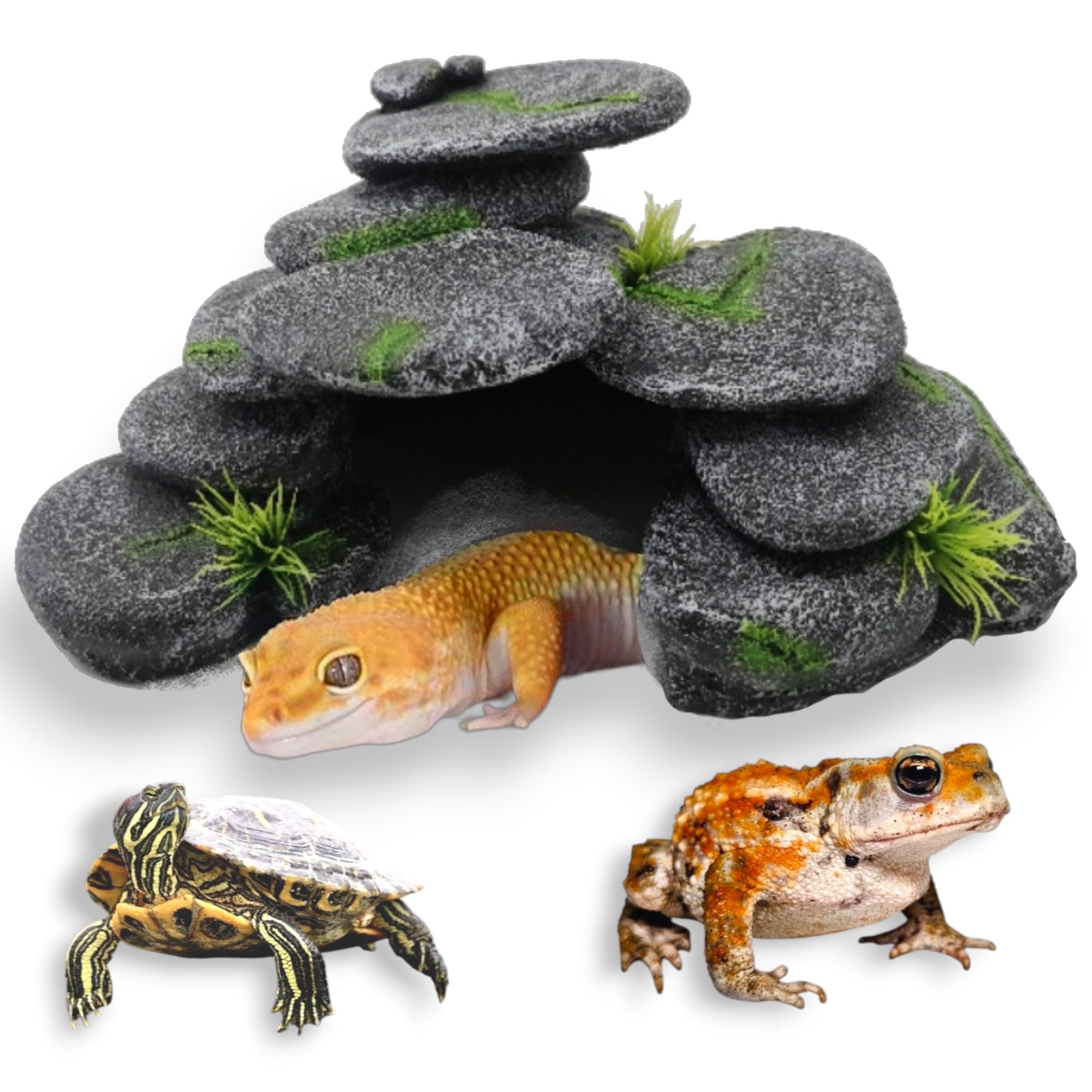 Amazon | レオパ シェルター 亀 浮島 ロック 苔 和風 レオパード
