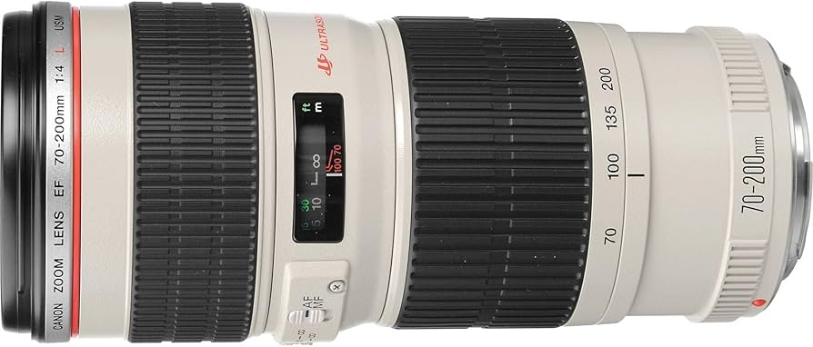 Amazon.com : EF 70-200mm f/4L USM Telephoto Zoom Lens : Camera