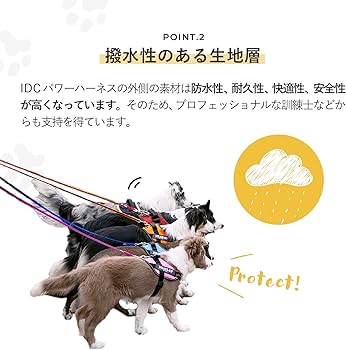 Amazon | IDCパワーハーネス, サイズ: S/ミニ, 唐草グリーン