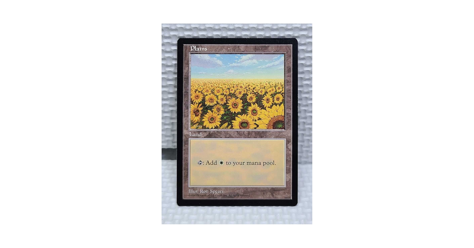 MTG APAC2ランド 島 英語1枚 日本 MTG APAC2ランド 島 英語1枚 日本