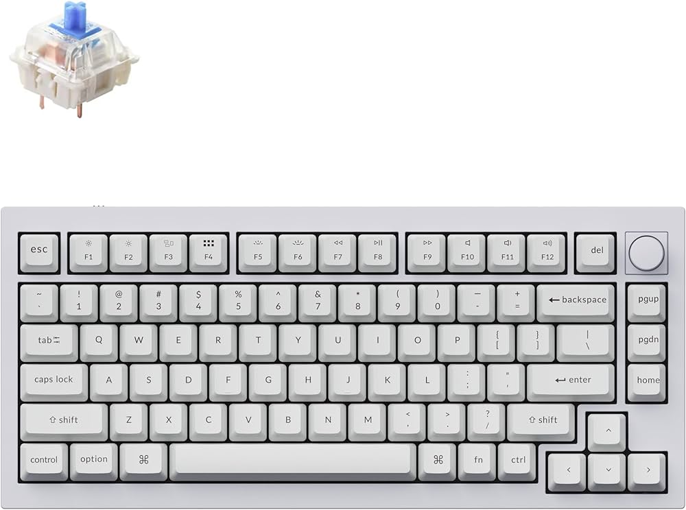Amazon.co.jp: Keychron Q1 RGB 有線カスタムメカニカルキーボード 75
