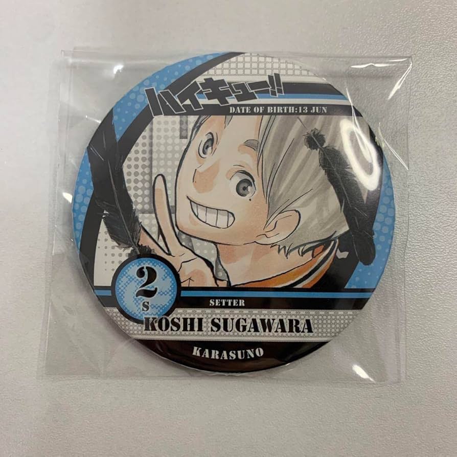 菅原孝支 原作 缶バッジ 23点セット ハイキュー ハイキュー 菅原孝支