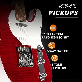 Amazon | EART NK-C1クラシックエレキギターメイプル指板、ステンレス