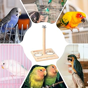 Amazon | Dfyiq 鳥かごの止まり木、ケージ用の鳥の止まり木 | 鳥かごの