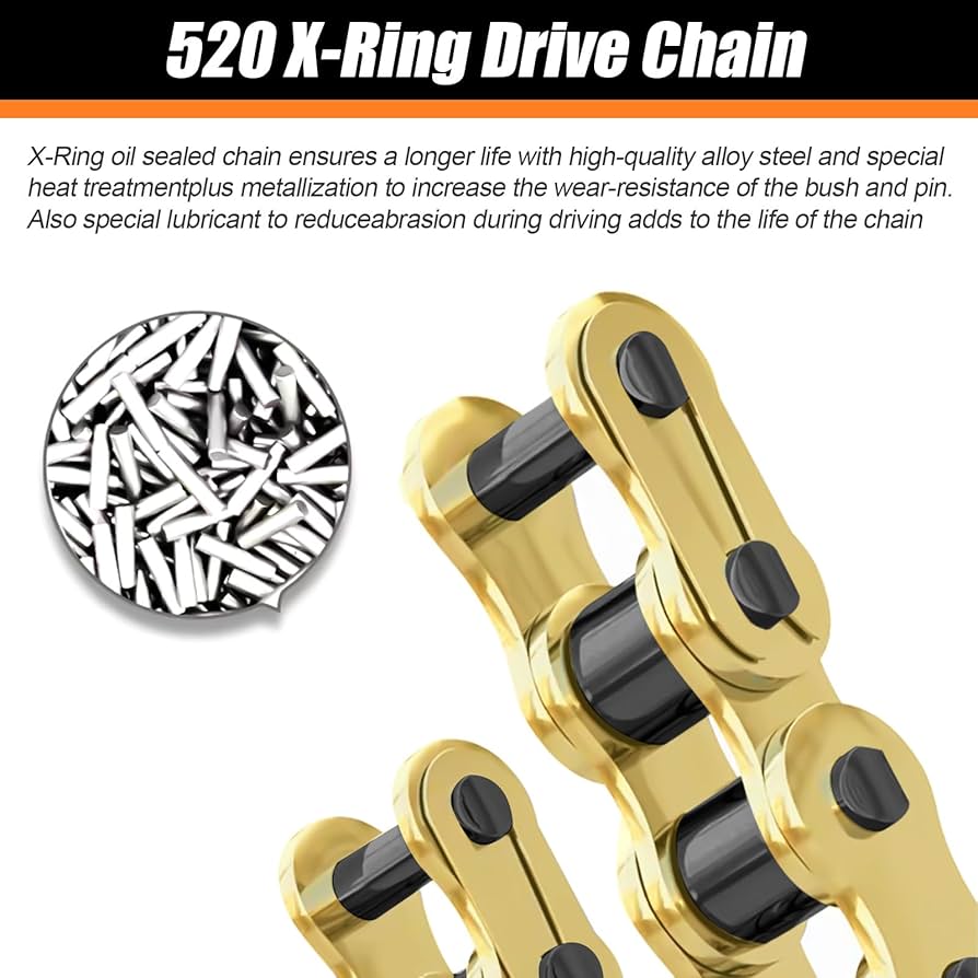 SHISHIKUI シシクイ XR Xチェーンリング L ブランド古着】THE