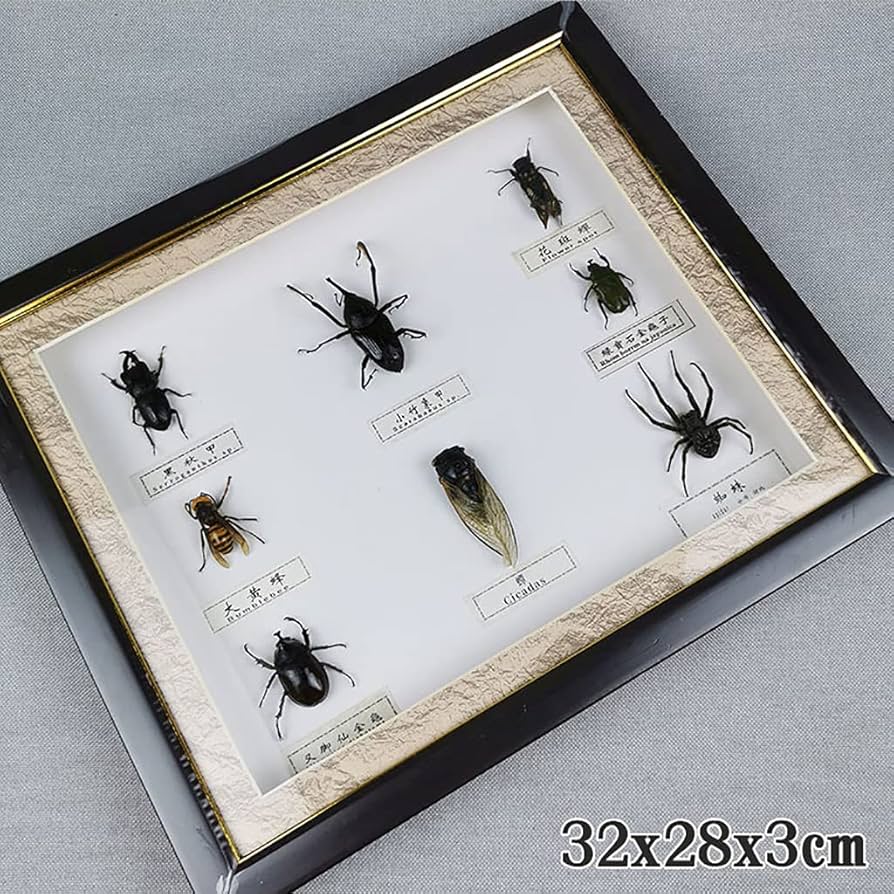 71VtX0PJ60L._AC_UF894,