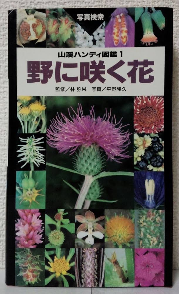 野に咲く花 (山渓ハンディ図鑑) (山溪ハンディ図鑑 1) | 平野 隆久