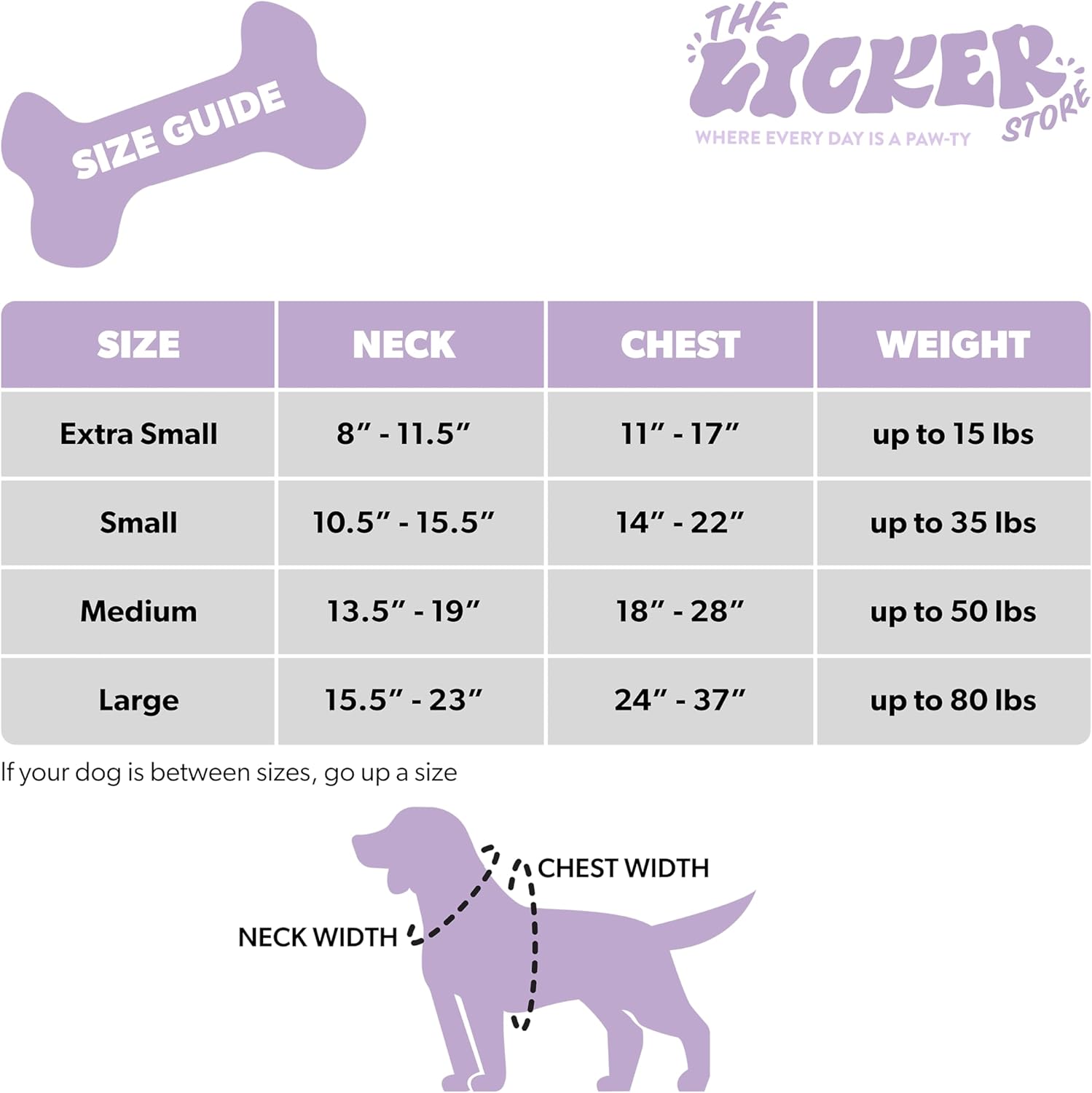 ミュージシャン SPEED DOME TOUR 1999 REAL LIFE DOG TAG SPEED DOME