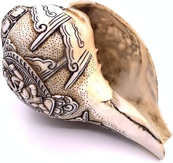 Amazon.co.jp: チベット密教法具 法螺貝（シャンカ）ーガネーシャ-A1