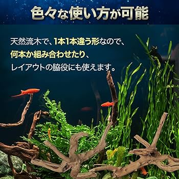 Amazon.co.jp: [AiO JAPAN] 【1個】Sサイズ 形状お任せタイプ